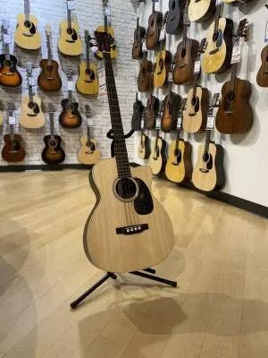 BC-16E Acoustic/Electric Bass with Case 2